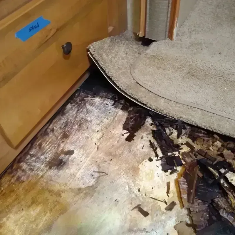 Best Wood Floor Water Damage Service in Alexandria, SD